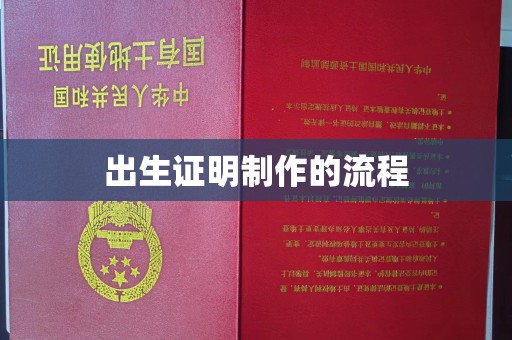 贵定出生证明制作的流程