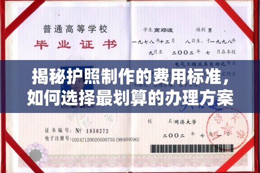 贵定揭秘护照制作的费用标准，如何选择最划算的办理方案？